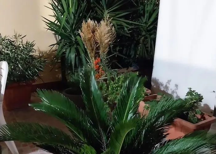 Il Giardino Di Marimar Apartmán *