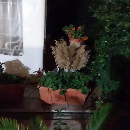 Appartamento Il Giardino Di Marimar Roma
