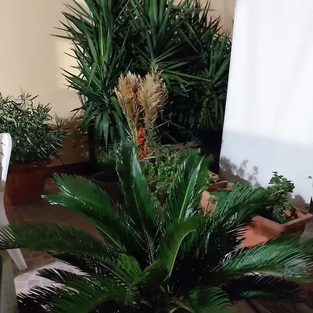 Il Giardino Di Marimar Διαμέρισμα *