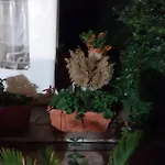Lägenhet Il Giardino Di Marimar Rom