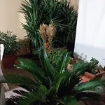 Il Giardino Di Marimar Lägenhet *